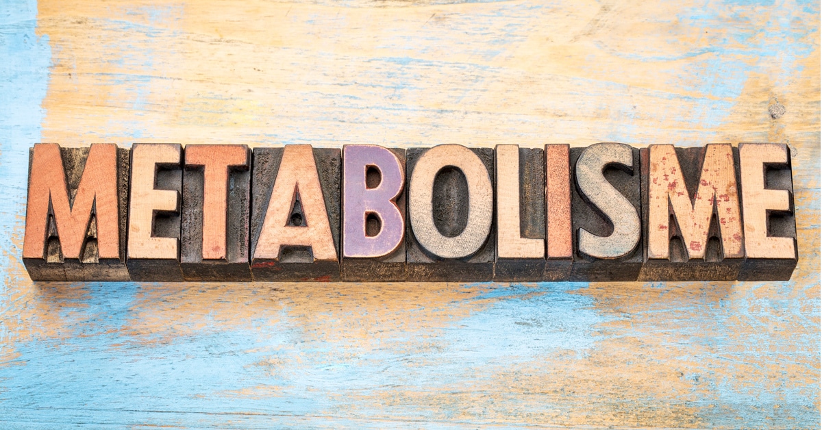 9 fakta om metabolisme og fettforbrenning